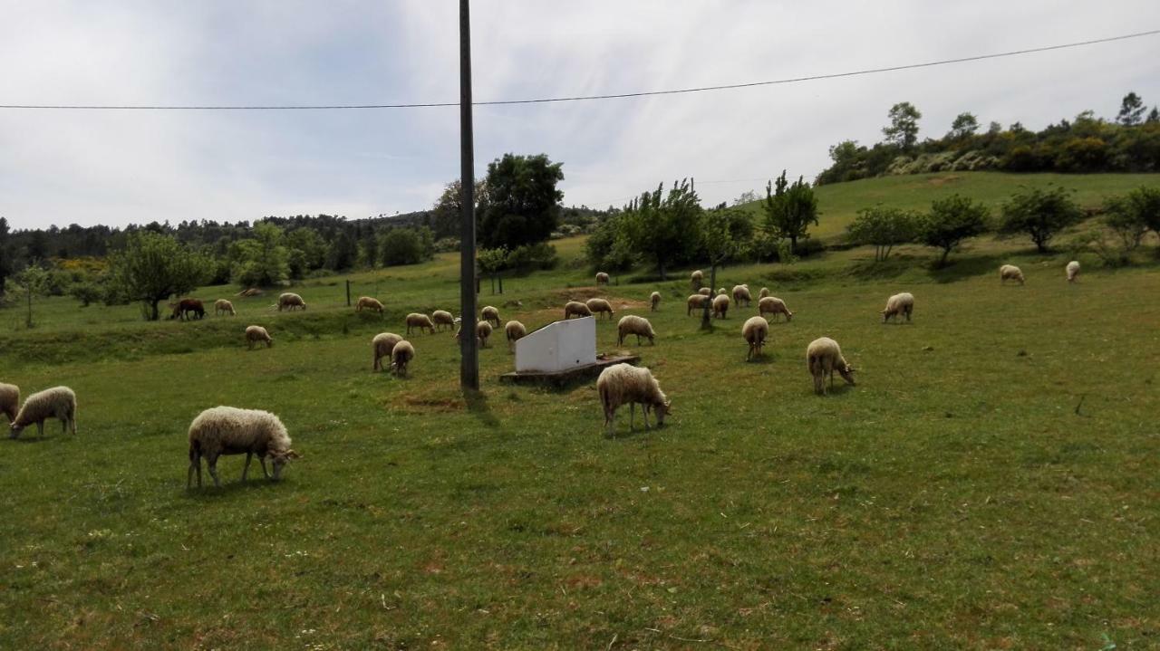 Vilares Casa De Malhoes מראה חיצוני תמונה