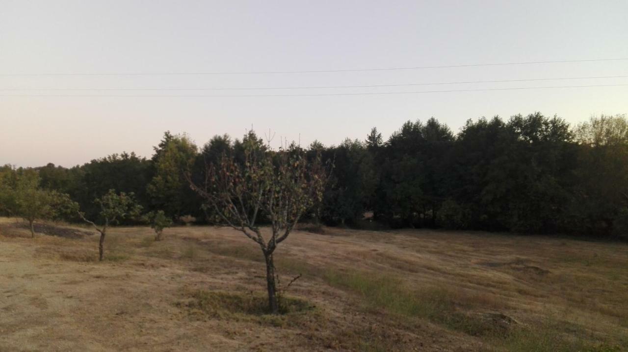 Vilares Casa De Malhoes מראה חיצוני תמונה